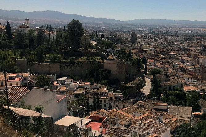 Semi Private Tour to the Alhambra from Nerja - Should you book it?