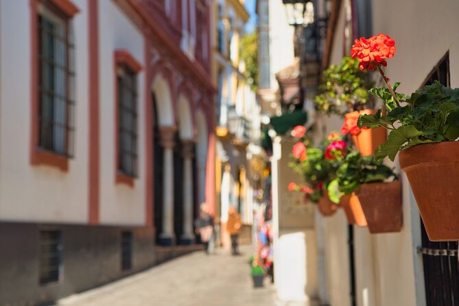 Seville Day Trip with Cathedral Entrance from Malaga - FAQ