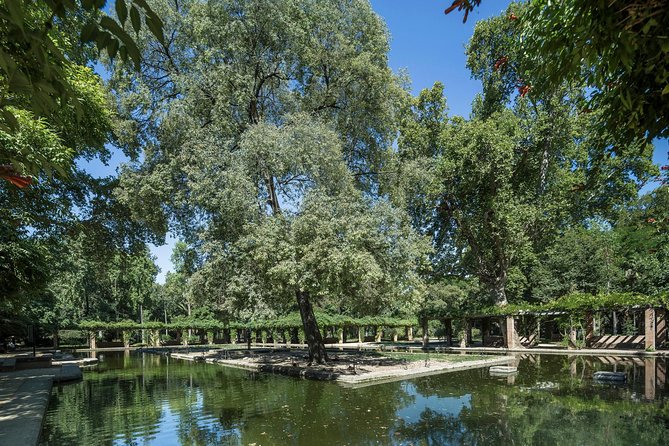 Seville Day Trip with Cathedral Entrance from Malaga - Free time, lunch and choosing your own pace