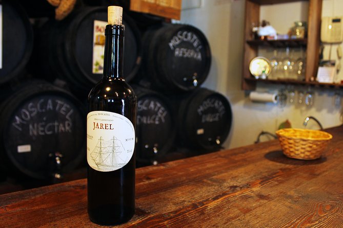 Sun and Wine Route - Small group, wine tasting and tapas included - At a glance