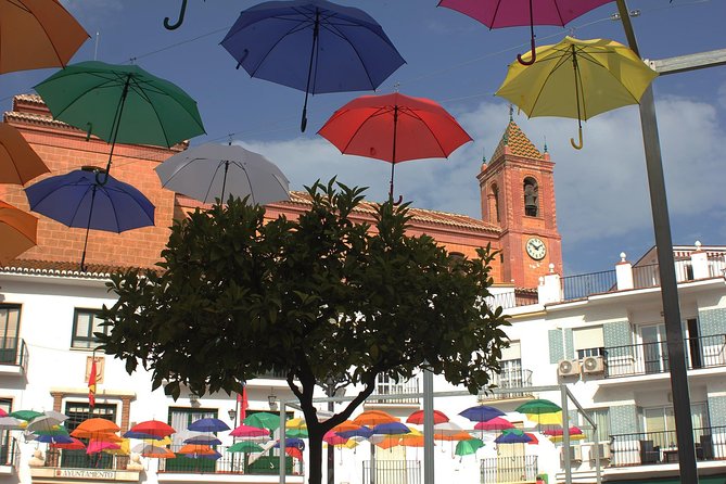 Sun and Wine Route - Small group, wine tasting and tapas included - Who should book the Sun and Wine Route?
