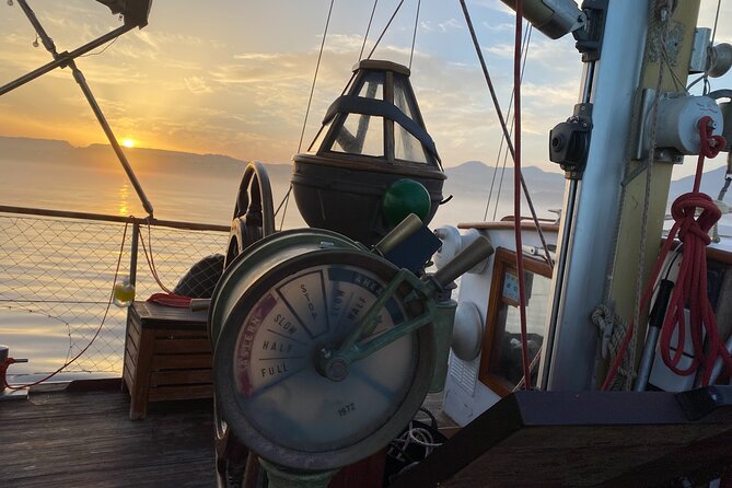 Sunset Sailing Experience in Estepona - Dolphins are a bonus, not the whole plan