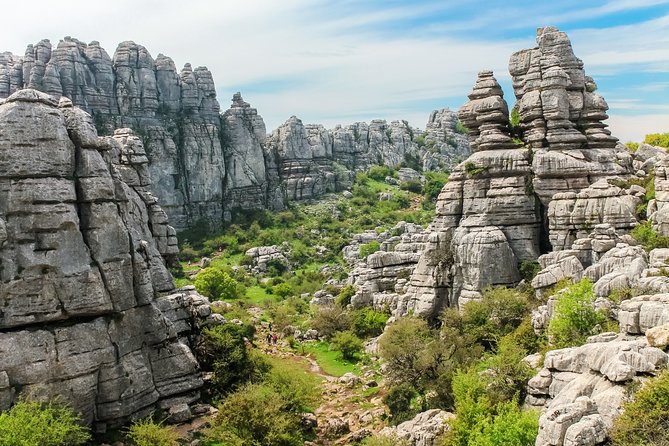Torcal de Antequera Hiking Tour from Málaga - Ammonites, goats, and a guide’s trained eye