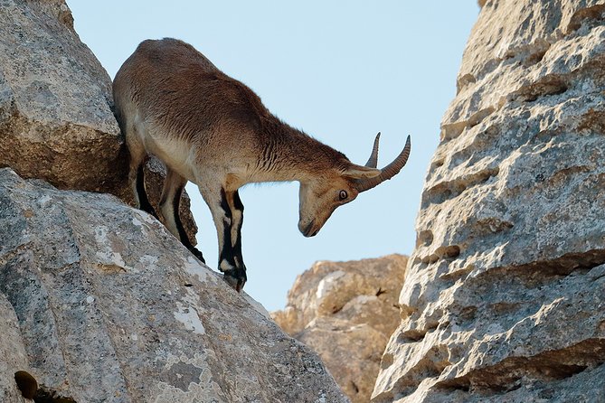 Torcal de Antequera Hiking Tour from Málaga - Three hours on a rocky route