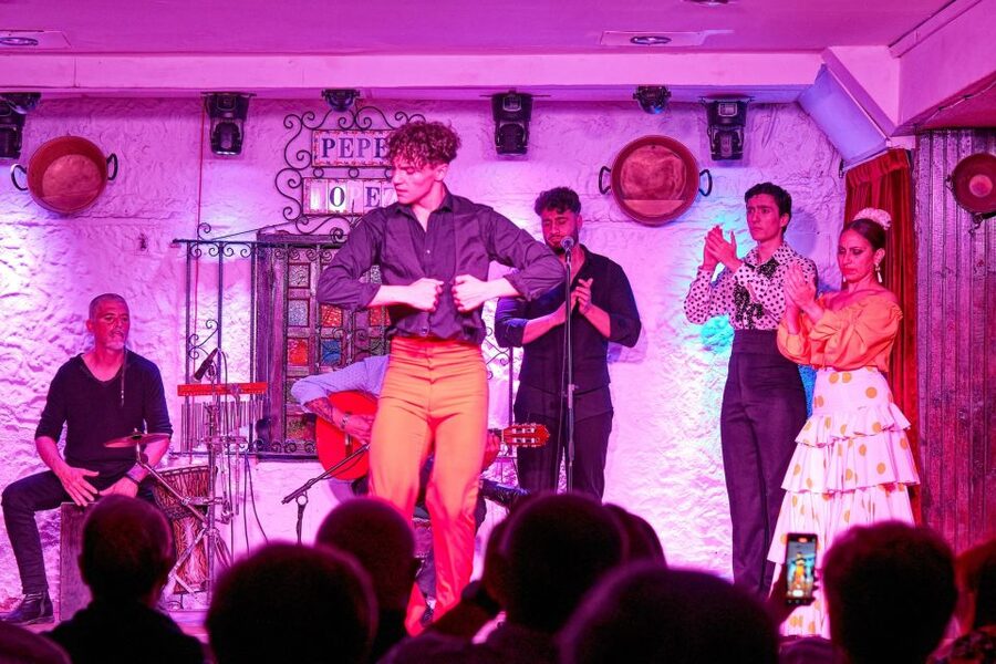 Torremolinos: Flamenco Show with Drinks - Who will enjoy this show most