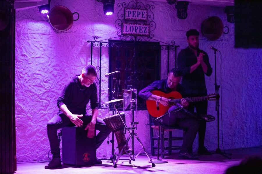 Torremolinos: Flamenco Show with Drinks - Practical details before you go