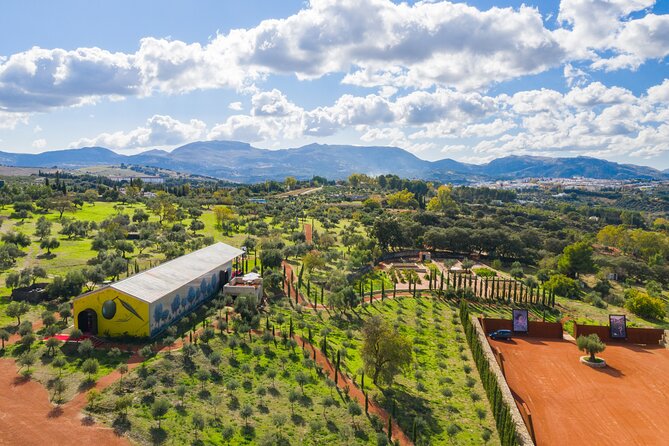 Visit Oil Mill Museum and Olive Oil Tasting in Ronda - A modern olive mill in Ronda’s countryside