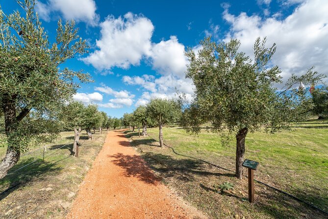 Visit Oil Mill Museum and Olive Oil Tasting in Ronda - Who will enjoy LA Organic most?