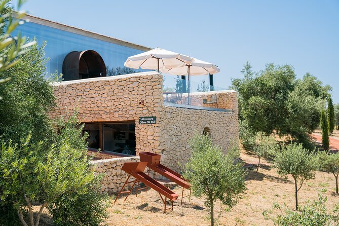 Visit Oil Mill Museum and Olive Oil Tasting in Ronda - Tasting oils, not just eating bread