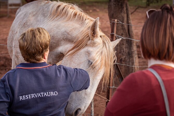 Visita Entre Toros y Caballos - Across the pasture by trailer