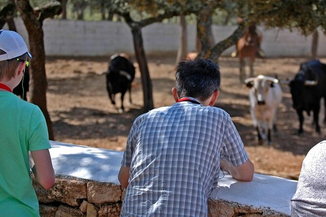 Visita Entre Toros y Caballos - What the 70-minute estimate means